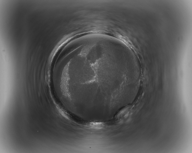 X0000087510055200704271130