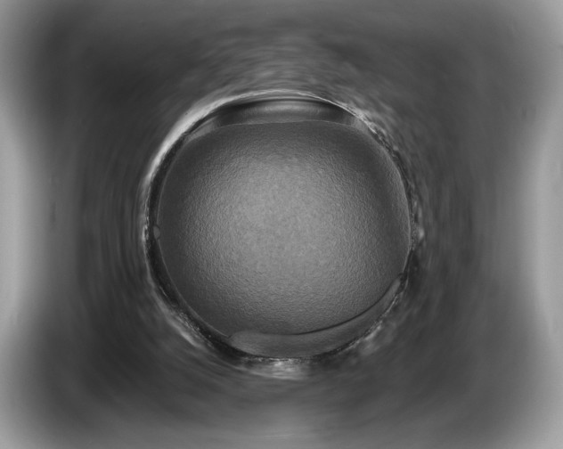 X0000087510056200704271130