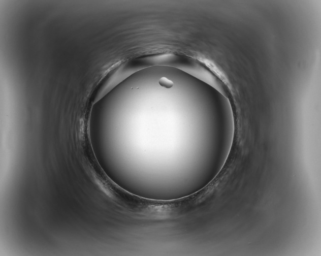 X0000087510057200704271130