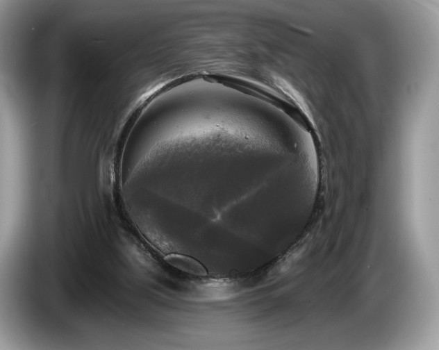 X0000087510059200704271130