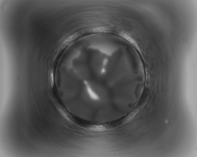 X0000087510061200704271130