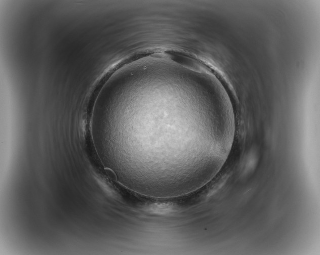 X0000087510063200704271130