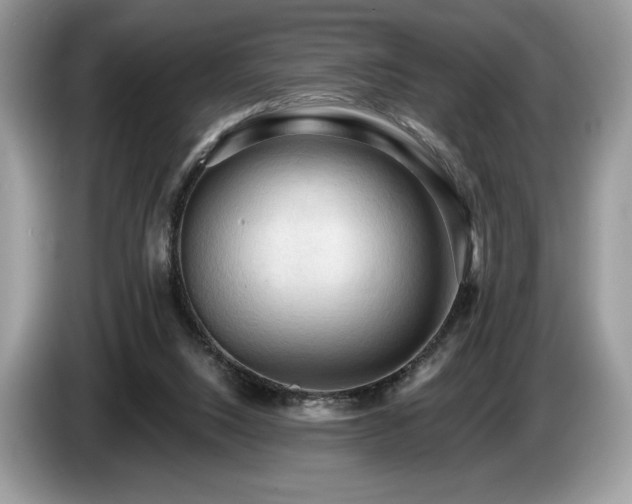 X0000087510064200704271130