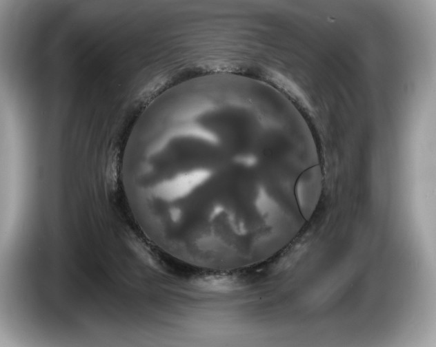 X0000087510065200704271130