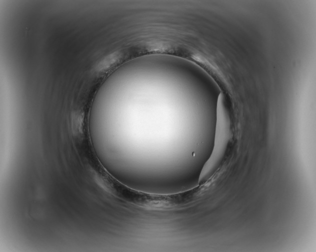 X0000087510066200704271130