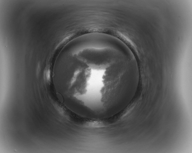 X0000087510067200704271130