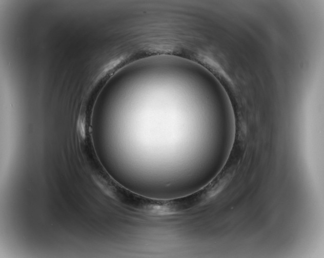 X0000087510068200704271130