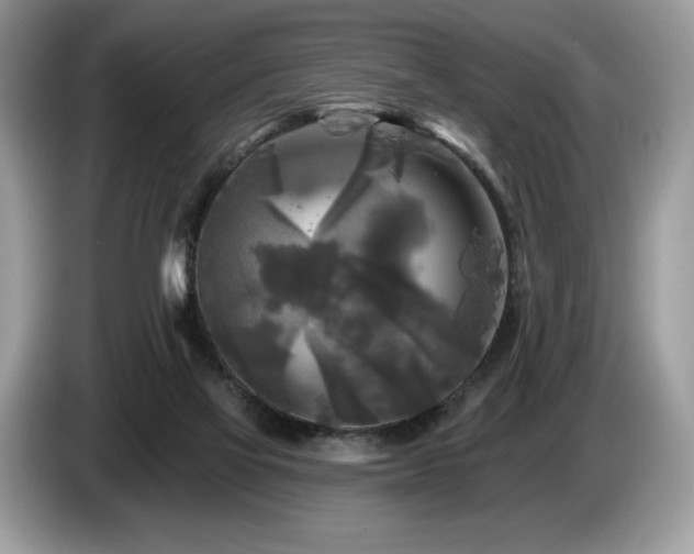 X0000087510069200704271130