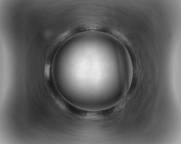 X0000087510070200704271130