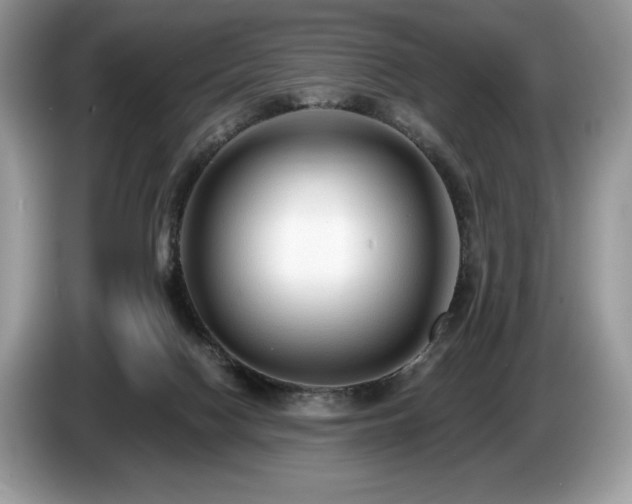 X0000087510074200704271130