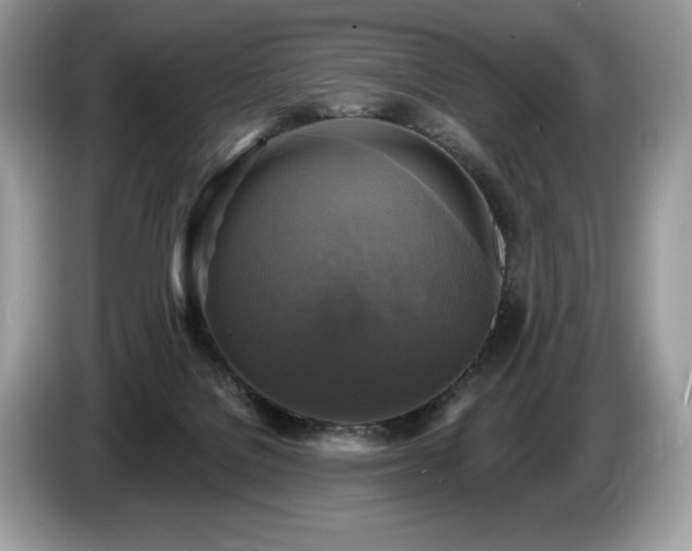 X0000087510076200704271130