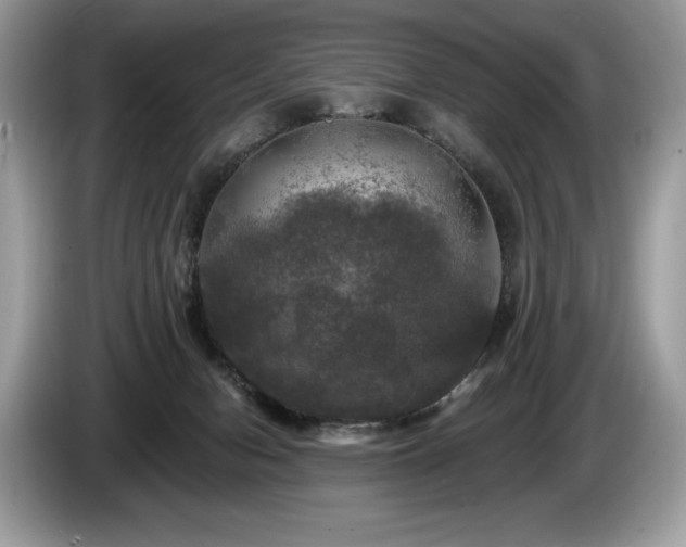 X0000087510078200704271130