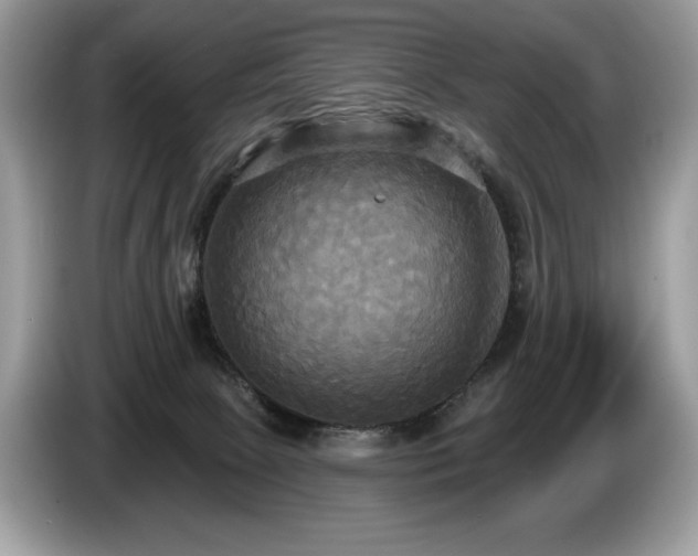 X0000087510081200704271130