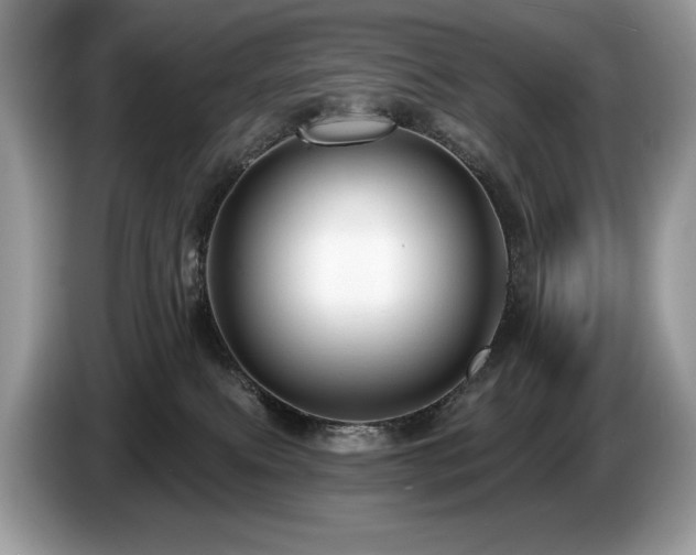 X0000087510087200704271130