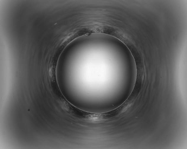 X0000087510088200704271130