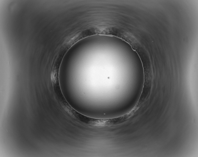 X0000087510090200704271130
