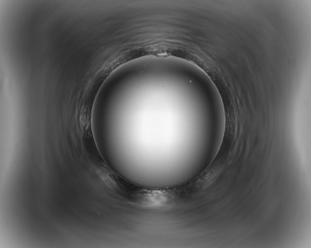 X0000087510091200704271130