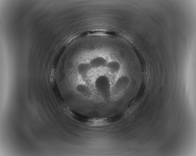 X0000087510093200704271130