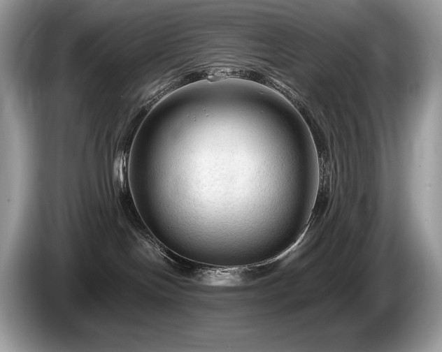 X0000087510094200704271130