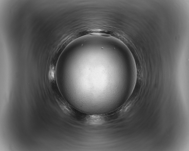 X0000087510095200704271130