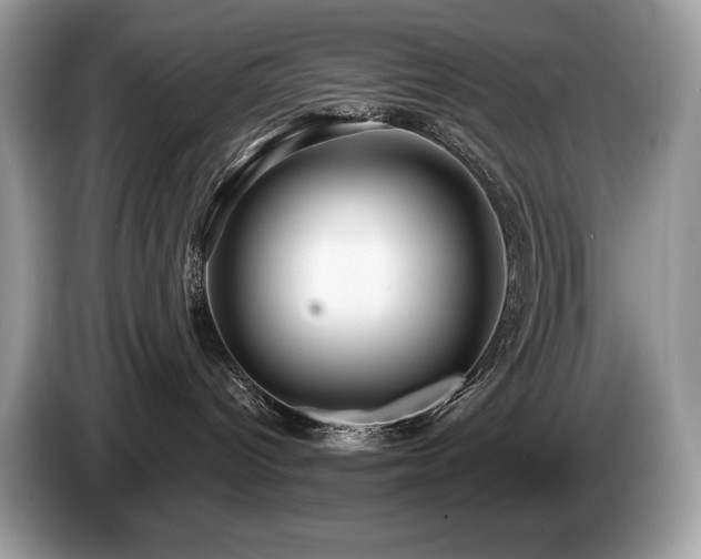 X0000087510096200704271130