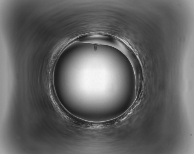 X0000087510097200704271130