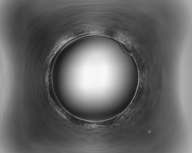 X0000087510098200704271130