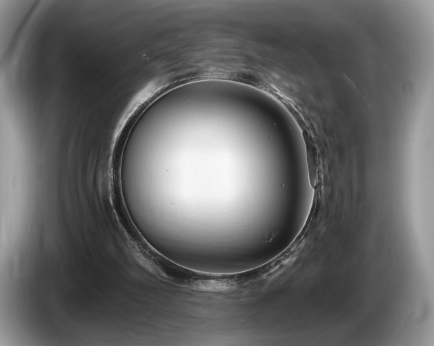 X0000087510102200704271130