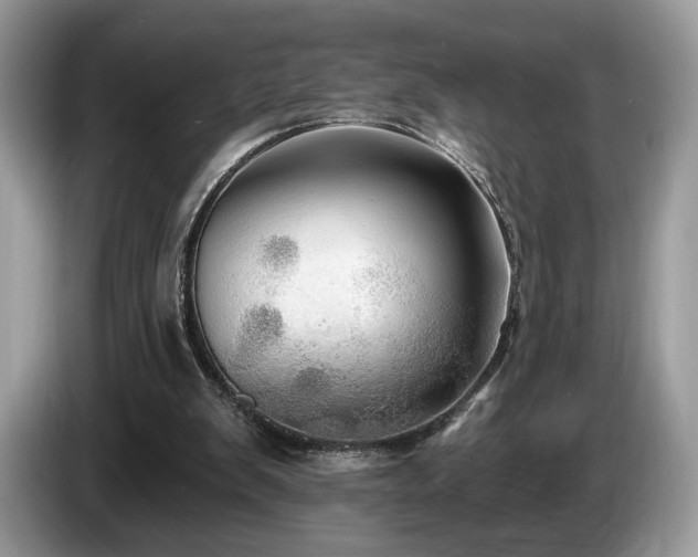 X0000087510103200704271130
