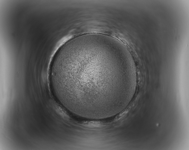 X0000087510104200704271130