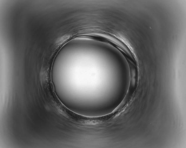 X0000087510105200704271130