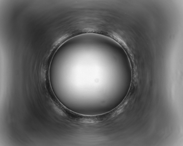 X0000087510106200704271130