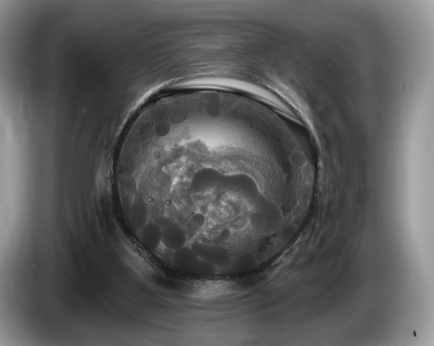 X0000087510107200704271130