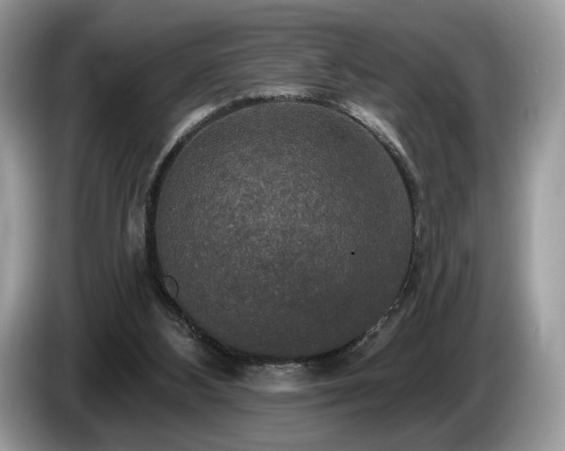 X0000087510108200704271130