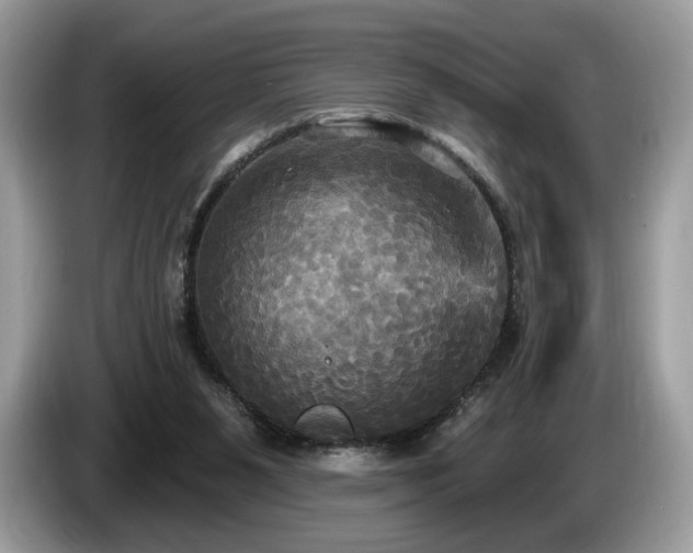 X0000087510111200704271129