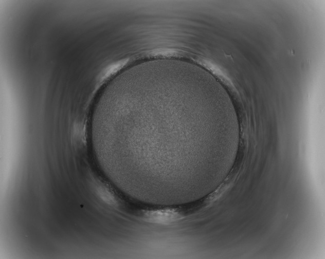 X0000087510112200704271129