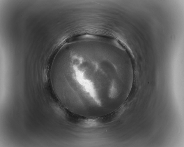 X0000087510114200704271129