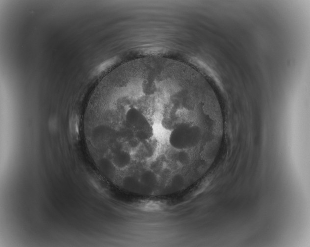 X0000087510115200704271129