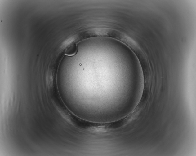 X0000087510120200704271129