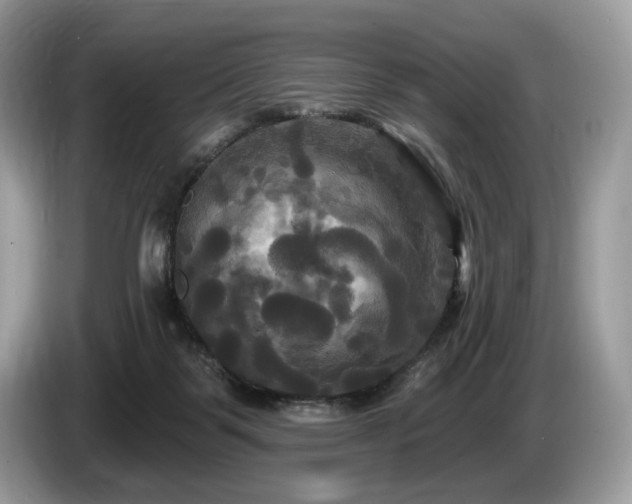 X0000087510123200704271129