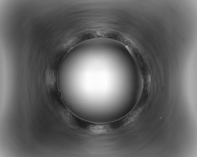 X0000087510129200704271129