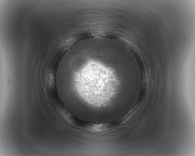 X0000087510130200704271129