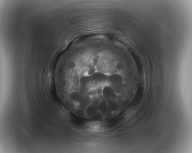 X0000087510131200704271129