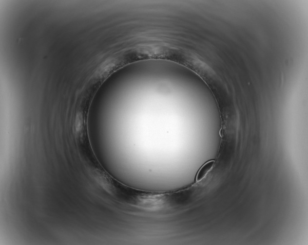 X0000087510132200704271129
