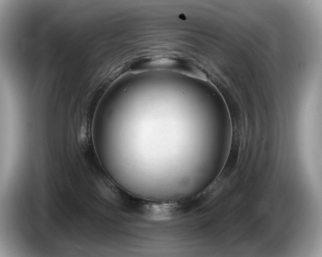 X0000087510134200704271129