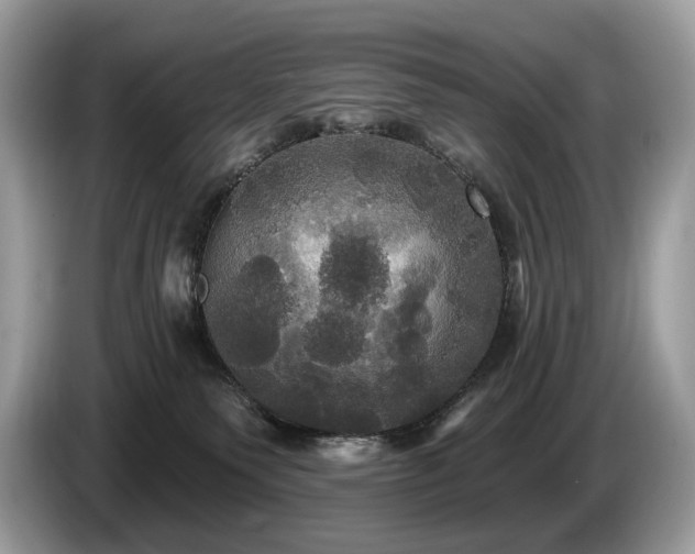 X0000087510135200704271129