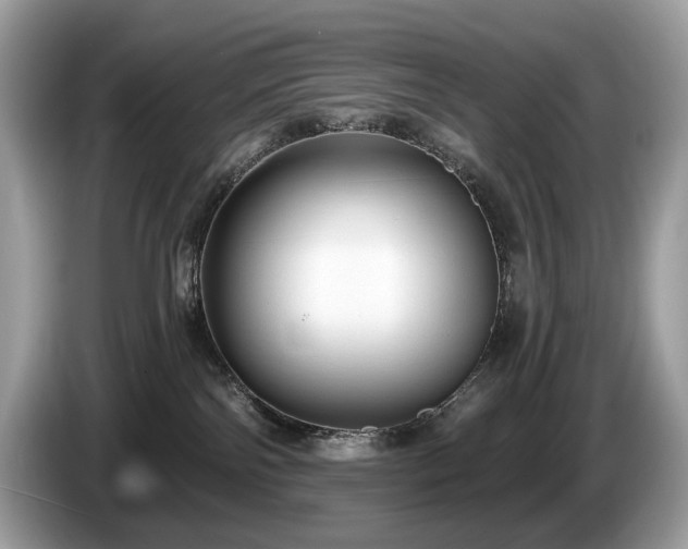 X0000087510138200704271129