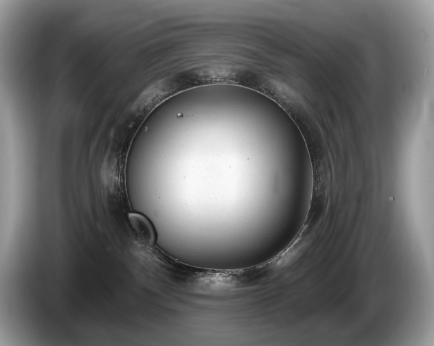X0000087510140200704271129