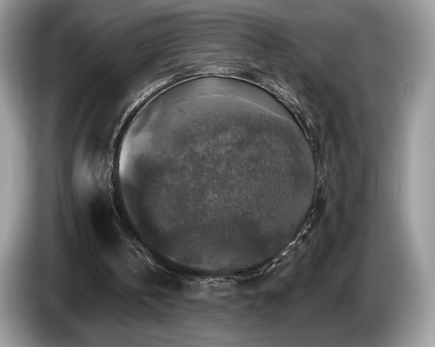 X0000087510146200704271129