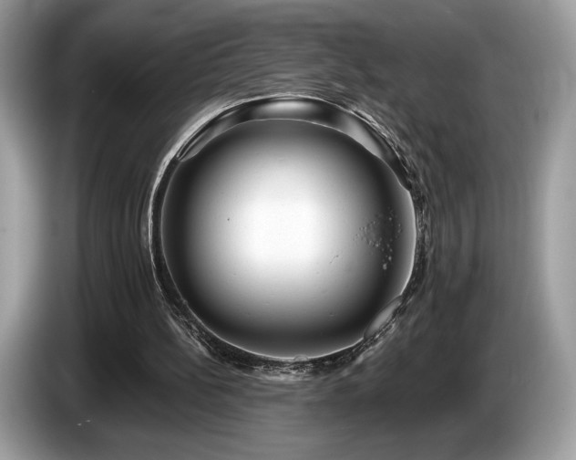 X0000087510148200704271129